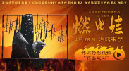 亚洲欧美在线不卡